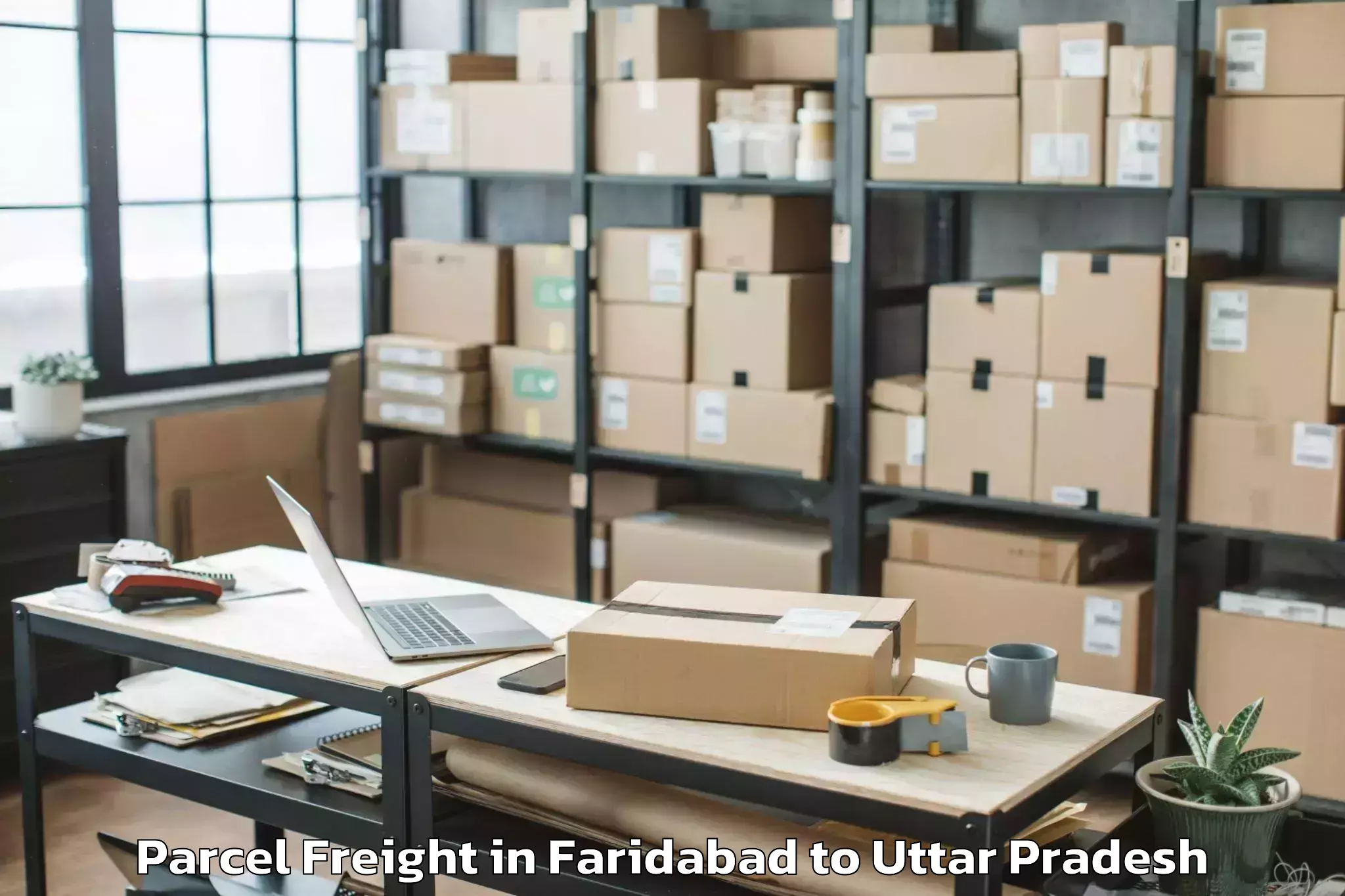 Leading Faridabad to Bidhuna Parcel Freight Provider